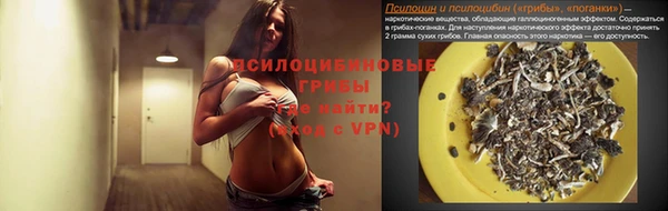 экстази Богородицк