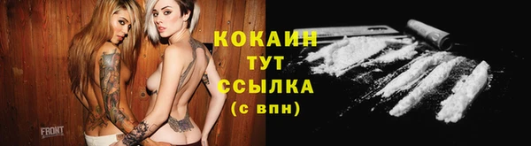 стаф Бородино