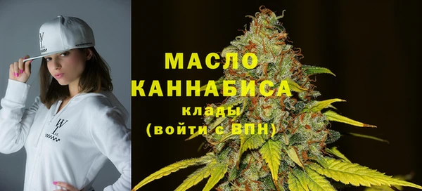 стаф Бородино