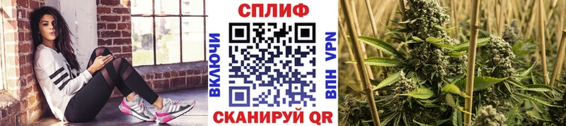 Конопля сатива omg рабочий сайт Волгореченск